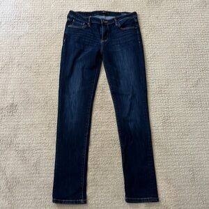 Dish jeans straight and narrow style women’s size 30x32